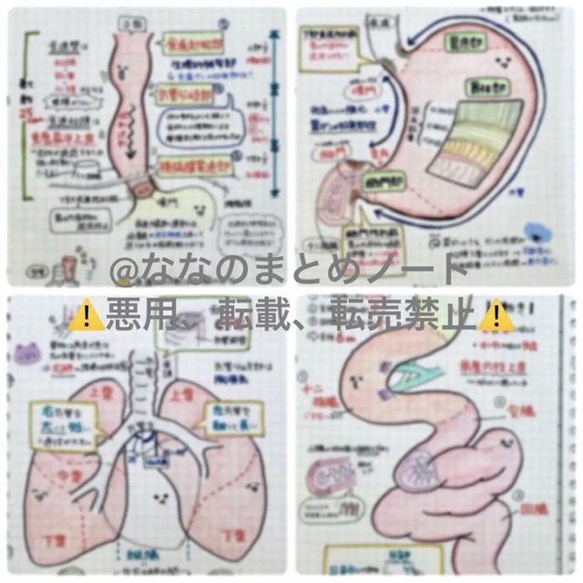 解剖生理+重要項目+頻出疾患まとめノート 3セット