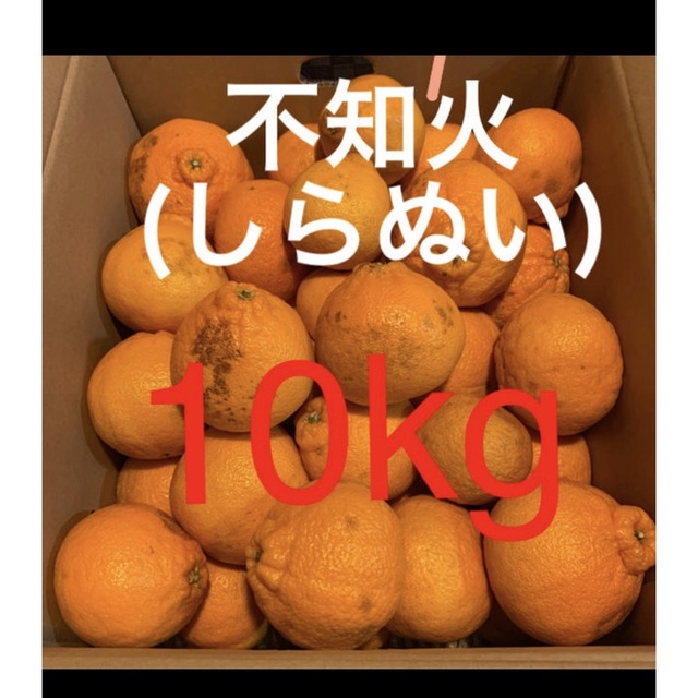 和歌山県 訳あり傷あり不知火(しらぬい)約10キロ 食品/飲料/酒の食品(フルーツ)の商品写真