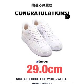 ナイキ(NIKE)のBillie Eilish × Nike AF1 Triple White29.(スニーカー)