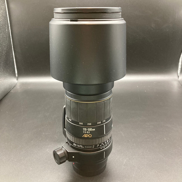 シグマ SIGMA 望遠レンズ 170-500mm 1:5-6.3 APO-