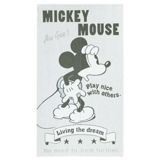 ディズニー(Disney)のミッキージャガードのれん☆85×150cm(のれん)