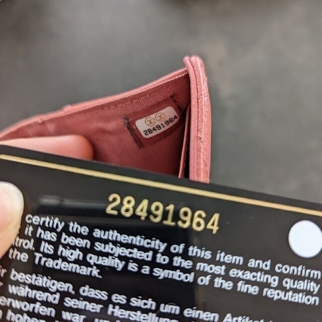中古 正規 防水 レディース W30 2.5mm スポーツシリーズ ショート、L