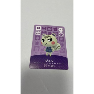 ニンテンドースイッチ(Nintendo Switch)の【さやか様】ジュン　amiibo(カード)