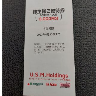 ユナイテッドスーパーマーケット株主優待券3000円分　USMH(ショッピング)