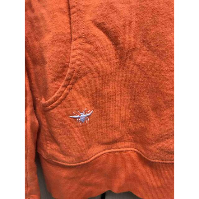 正規 Dior Homme ディオールオム BEE 蜂 パーカー