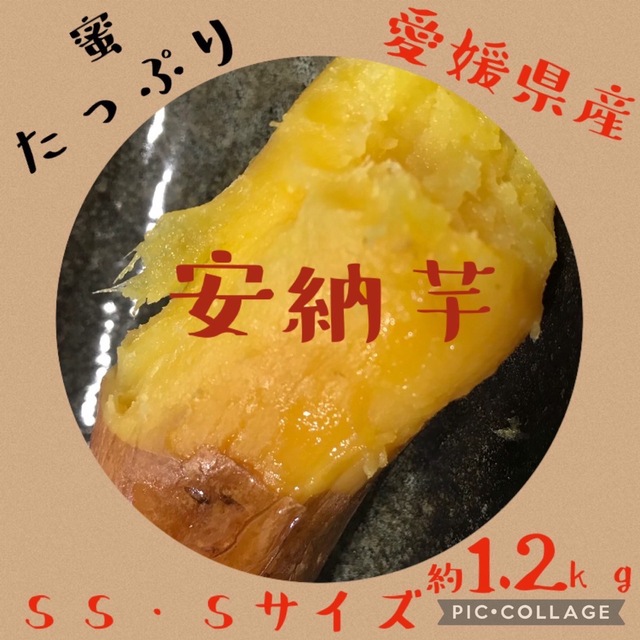 神山様専用　さつまいも　安納芋　愛媛県産　農家直送　お試し　約1.2kg 食品/飲料/酒の食品(野菜)の商品写真