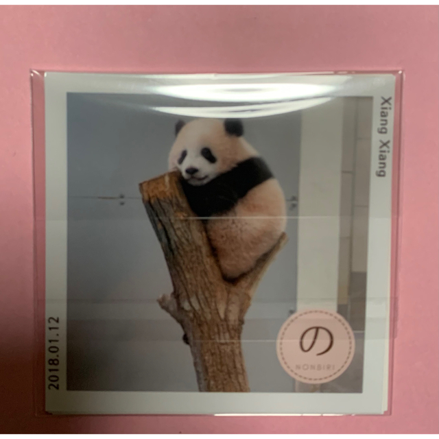 シャンシャン　生写真　3枚セット　上野動物園 パンダ | フリマアプリ ラクマ