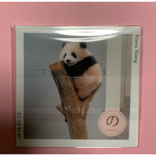 シャンシャン　生写真　3枚セット　上野動物園 パンダ