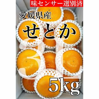 柑橘の大トロうまうまジューシー！えひめ中央農協選果【せとか】青○等級3L約5kg(フルーツ)