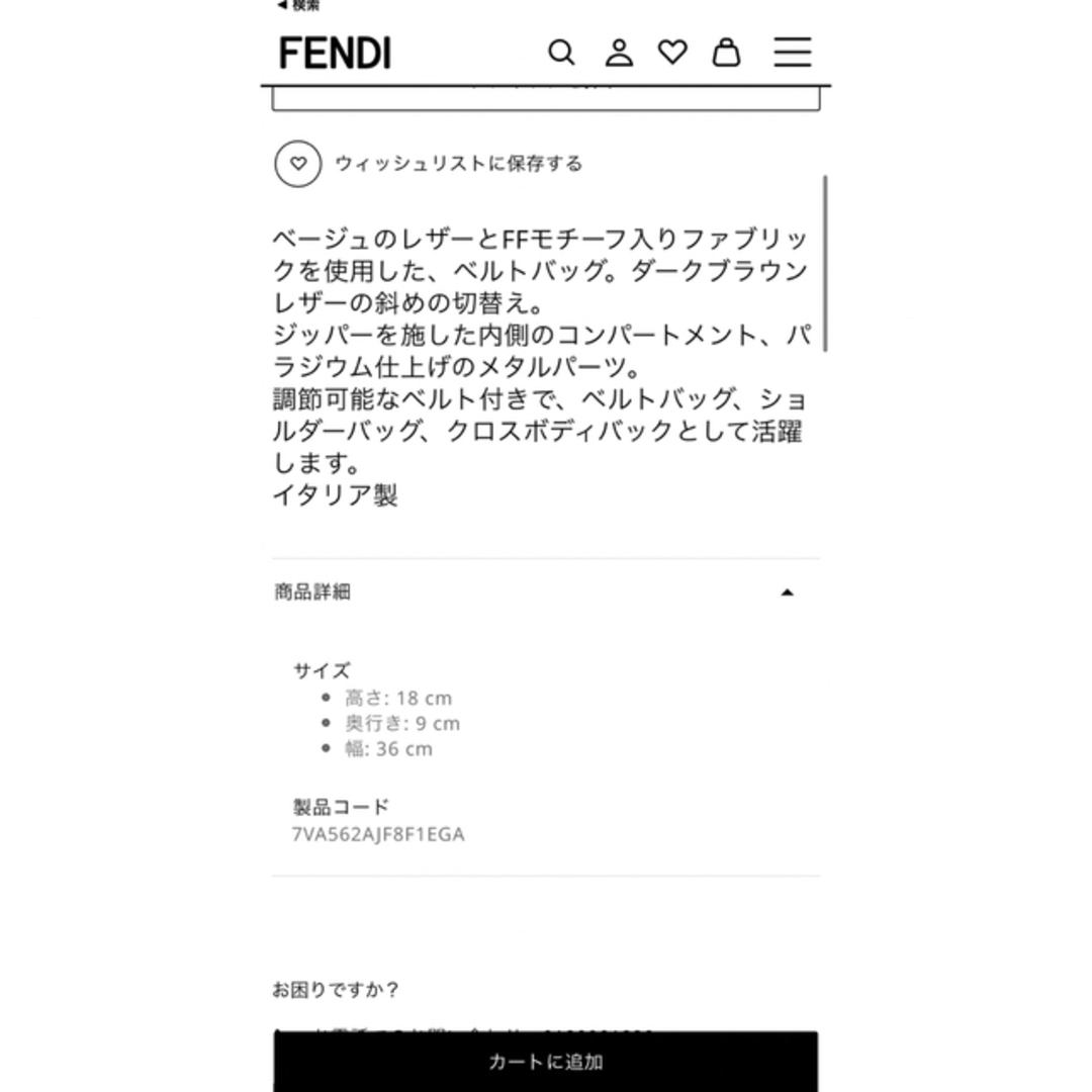 FENDI(フェンディ)のFENDI 新作バッグ2023 レディースのバッグ(ショルダーバッグ)の商品写真