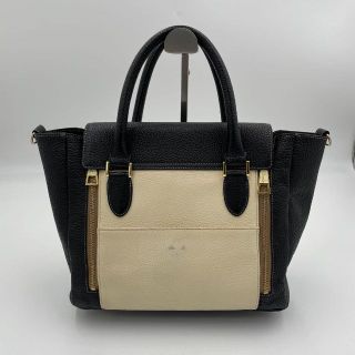 美品✨イアンヌ ヴァネッサ パンダ 2way バッグ ポーチ付 レザー 希少-