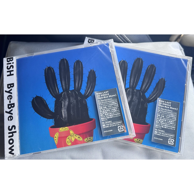SIG様専用】Bye-Bye Show 初回限定超豪華版【おまけ付】 | www.wansors.id