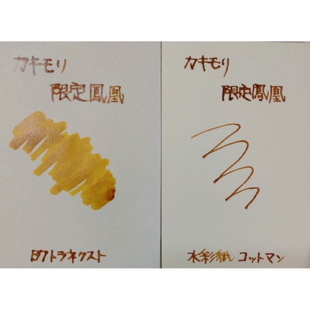 【新品未使用】カキモリ 新品万年筆