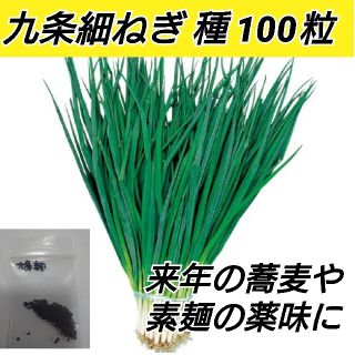 九条細ネギ 種100粒(プランター)