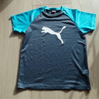 プーマ(PUMA)のPUMA Tｼｬﾂ 150(Tシャツ/カットソー)