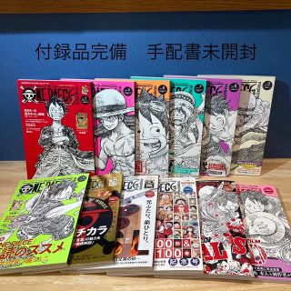 ぷに様専用ワンピースマガジン(少年漫画)