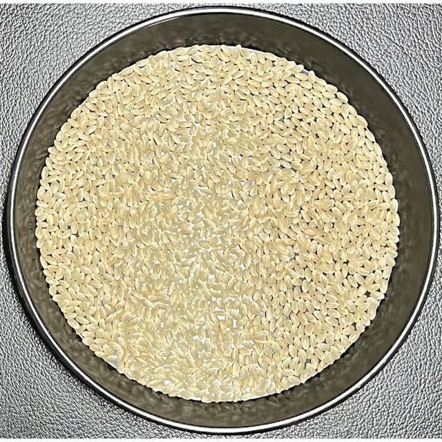 京都 丹後 コシヒカリ 玄米 30kg 送料無料 減農薬米 2