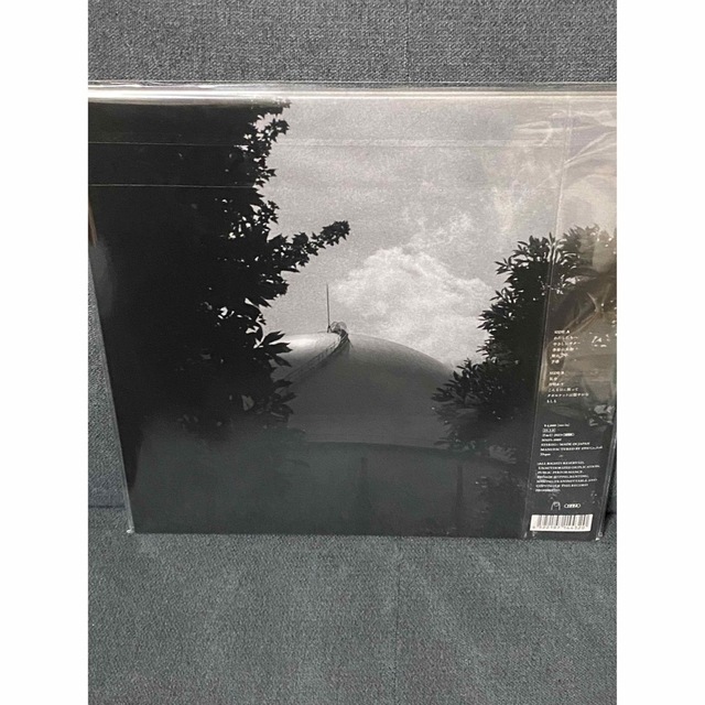 カネコアヤノ タオルケットは穏やかな ひとりでに アナログレコード LP