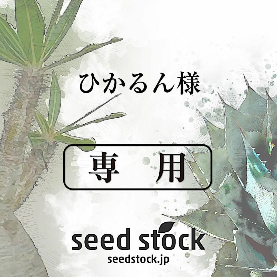 ひかるん様専用の通販 by seed stock｜ラクマ