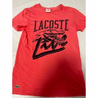 LACOSTE L!VE - 【LACOSTE LIVE】ラコステライブ ニットセーター ...