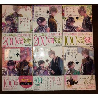 わたしの幸せな結婚　1〜6巻セット　小説(文学/小説)