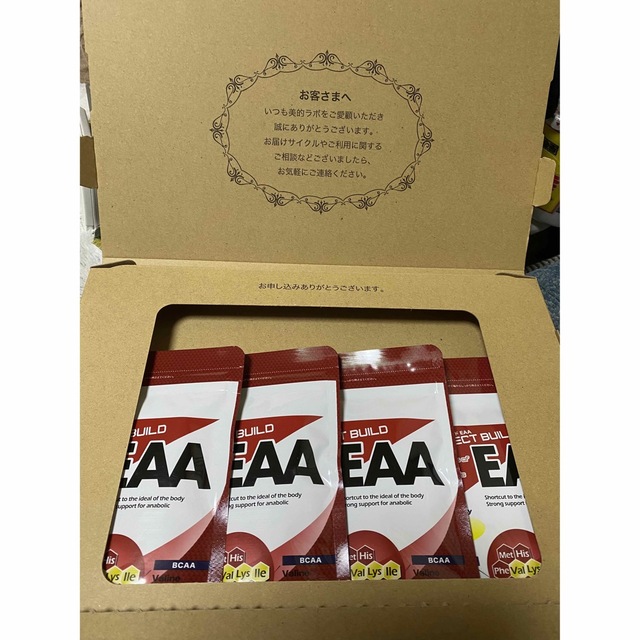 【値下げ】パーフェクトビルド EAA