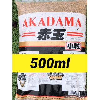 二本線硬質赤玉土小粒500ml(その他)