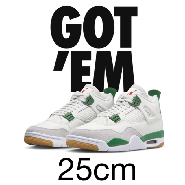 Nike SB × Air Jordan 4 "Pine Green" 25cm靴/シューズ