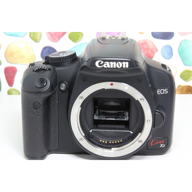 Canon(キヤノン)の♥︎◇Canon KISS X2 ◇はじめての一眼レフ ◇シャッター回数極少 スマホ/家電/カメラのカメラ(デジタル一眼)の商品写真