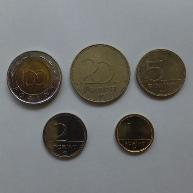 外国コイン 旧硬貨 古銭 ハンガリー フォリントの通販 by くまぷー's shop｜ラクマ