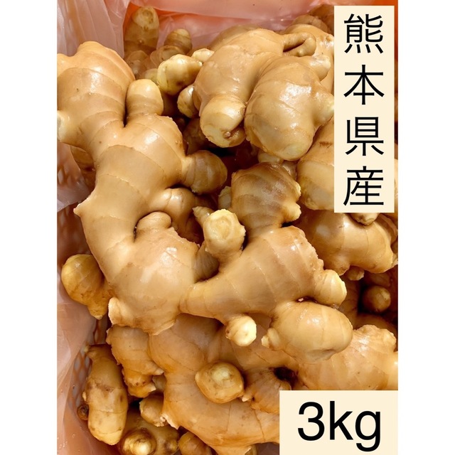 熊本県産　囲い生姜　3kg 食品/飲料/酒の食品(野菜)の商品写真