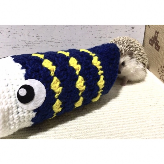 ハリネズミ🦔ちゃんのおもちゃ【こどもの日🎏　こいのぼりのトンネル】 その他のペット用品(小動物)の商品写真