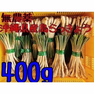 通常出荷サイズ☀️ 沖縄県産　島らっきょう　400g 土・根付(野菜)