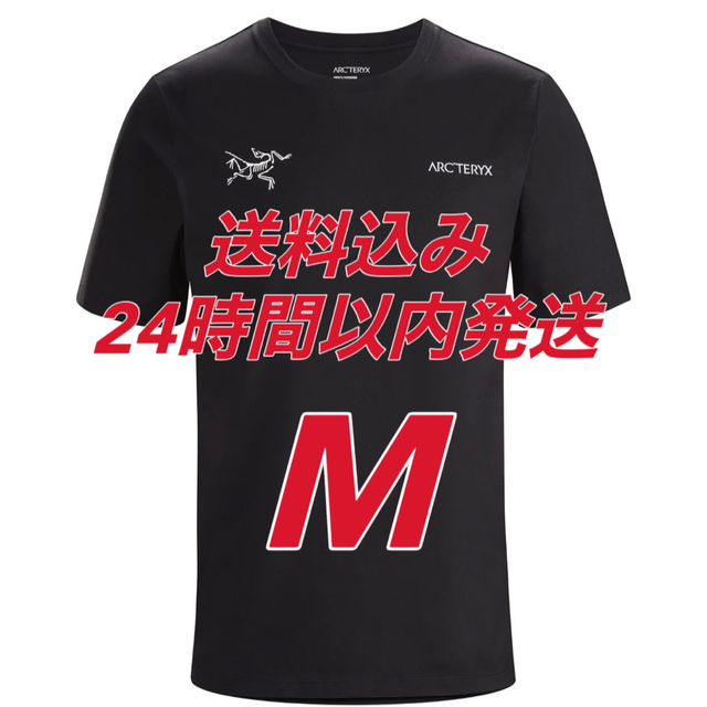 アークテリクス　スプリットＴシャツ　Ｌ