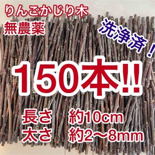 りんごの枝　無農薬かじり木　細枝　青森県津軽産　150本セット　洗浄済(小動物)