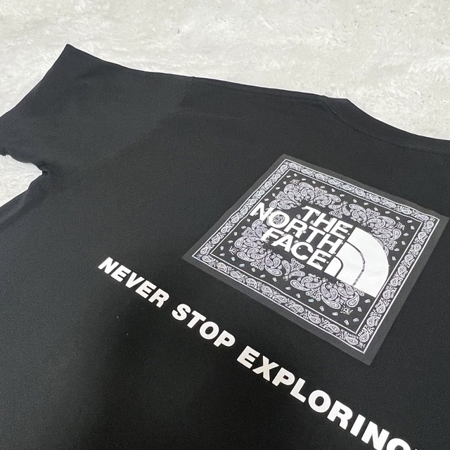 THE NORTH FACE(ザノースフェイス)のノースフェイス　バンダナスクエアロゴティー　半袖　ブラック　XL Tシャツ メンズのトップス(Tシャツ/カットソー(半袖/袖なし))の商品写真