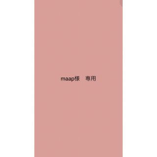 maap様専用　ハンドメイドオーダー品(その他)