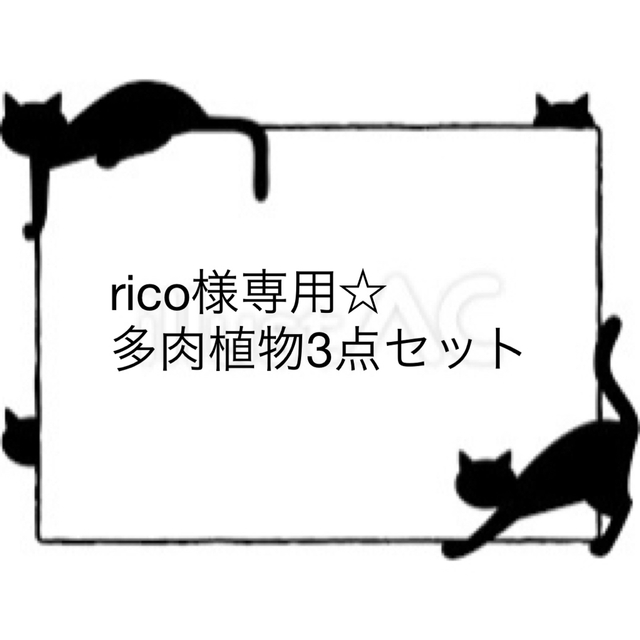 ricoさま専用です(^.^)