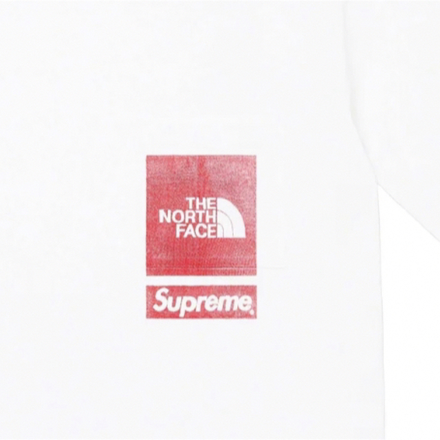 Supreme / TheNorthFace PrintedPocketTee