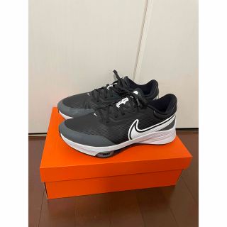 ナイキ(NIKE)のNIKE インフィニティツアーネクスト　28センチ(シューズ)