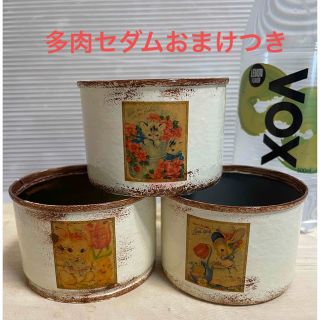 リメイク缶 リメ缶 3個セット 多肉セダムおまけつき(その他)