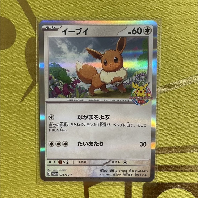 履き心地◎ イーブイ ポケモンカード教室 プロモ 美品 - crumiller.com
