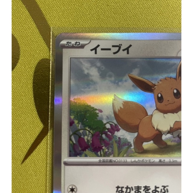 【美品】イーブイ プロモ ポケモンカード教室 1