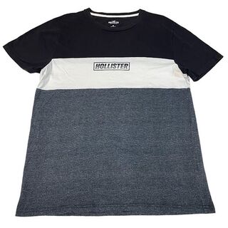 ホリスター(Hollister)のHOLLISTER ホリスター ロゴプリント切替 Tシャツ(Tシャツ/カットソー(半袖/袖なし))