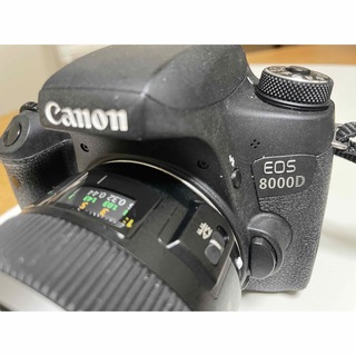 キヤノン(Canon)のCanon EOS 8000D(デジタル一眼)