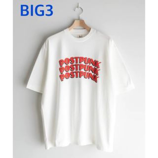 ブラームス(blurhms)のblurhms ROOTSTOCK POSTPUNK Print Tee BIG(Tシャツ/カットソー(半袖/袖なし))