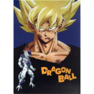 ドラゴンボールZ フリーザ編 ビジュアルアートポスター(プラ製) 鳥山明