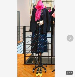 BLAMINK - 新品 BLAMINK ブラミンク シアーフラワー シルク ロング