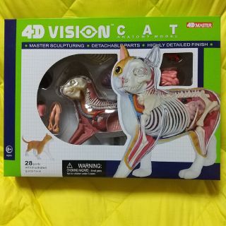 アオシマ(AOSHIMA)の【未開封】 解剖モデル 橙/白 青島 立体パズル 4D VISIONスカイネット(模型/プラモデル)