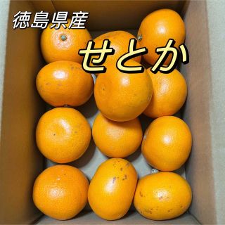 せとか　徳島県産　10〜16玉　約2kg　柑橘　みかん(フルーツ)